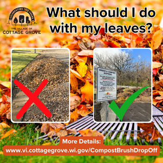 Photo of leaves with text that says What should I do with my leaves?