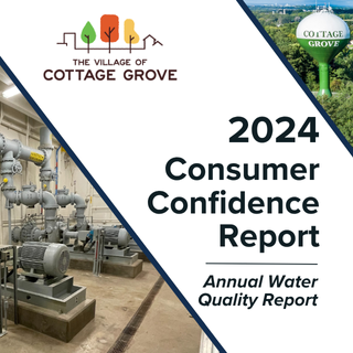 2024 CCR Report